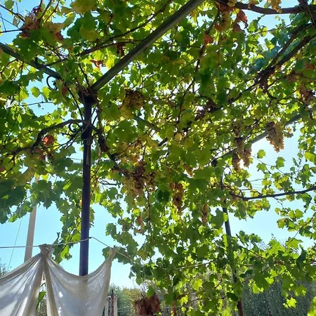 I Macaseni Di Franca Scopello (Sicily)